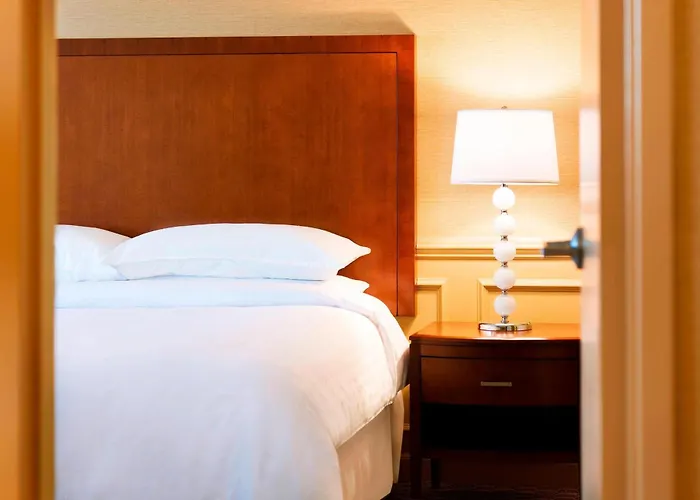 Sheraton Hartford Hotel At Bradley Airport