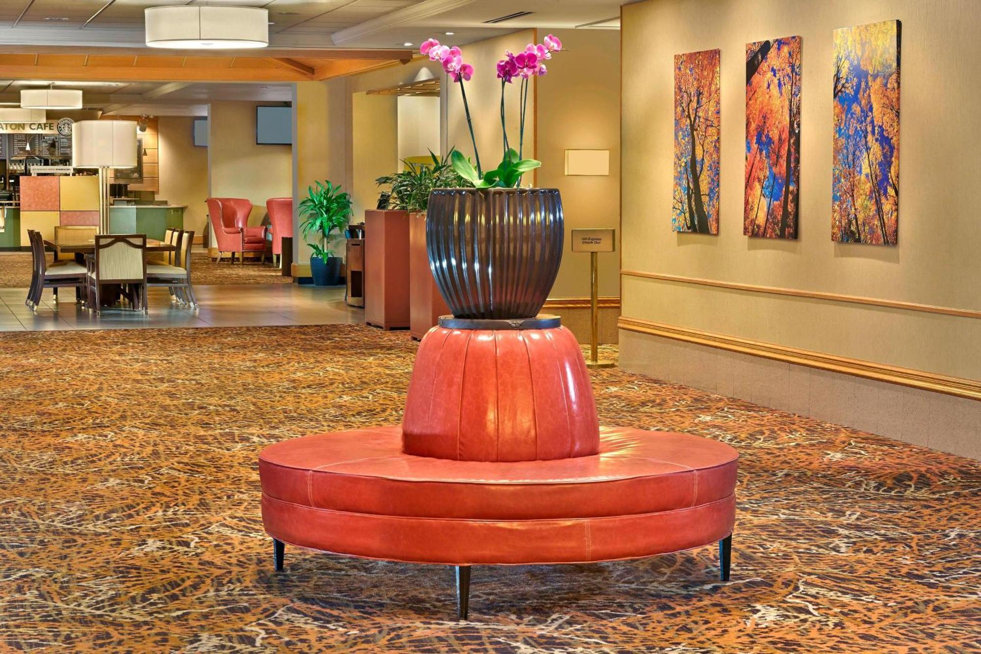 Sheraton Hartford At Bradley Airport